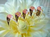 Treasure Nails｜プライベートネイルサロン